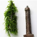 Simulation Xmas Moss Tree Grow Aquarium Landscape Decor New Aquarium Decoration Supplies 8. 