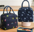 Insulated Lunch Bag Women Waterproof Thickened Aluminum Foil Kids Small Portable Lunch Box Beach Cooler Bag Warmer Lunchbox - 23x13x21cm. 