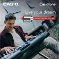 Casio CT-S300 Casiotone, 61-Key Portable Keyboard with power Adaptor, USB, music rest 1 year company warranty (CT-S300) organ musical instrument. 