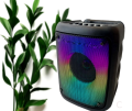 KTS-1576 BT Party Speaker with 3-Inch Flame Illusion Light, Wireless Portable Mini Speaker with USB Support, Bluetooth Connectivity, and Built-in Party Flame Effect. 