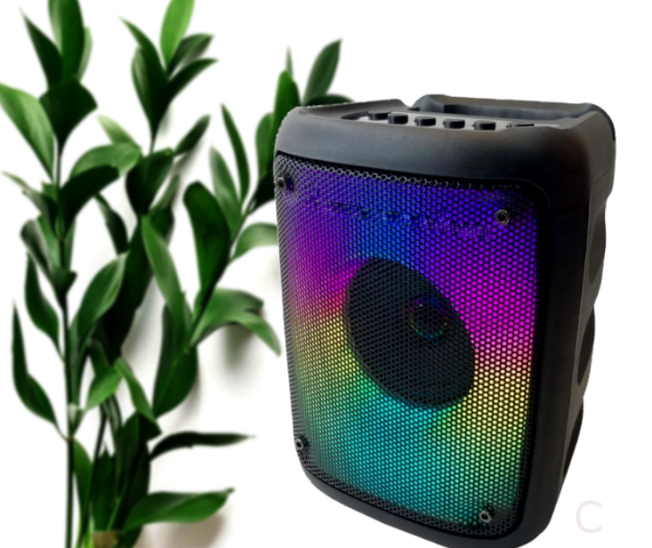 KTS-1576 BT Party Speaker with 3-Inch Flame Illusion Light, Wireless Portable Mini Speaker with USB Support, Bluetooth Connectivity, and Built-in Party Flame Effect