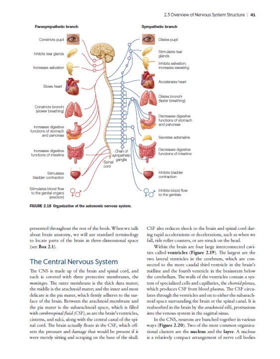 Cognitive%20Neuroscience%20The%20Biology%20of%20the%20Mind%20th%20-%20Image%205
