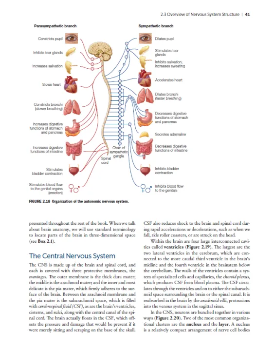 Cognitive%20Neuroscience%20The%20Biology%20of%20the%20Mind%20th%20-%20Image%205