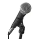 Shure SM-58 Microphone. 