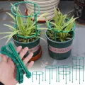 【ZOSR】Plastic Plant Support Pile Half Round Climbing Vines Stake Bonsai Fixing Rod Garden Plant Stake Holder Flower Ring Support Rack. 