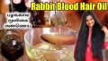 Rabbit Blood Herbal Hair Oil 50ML 1Natural Rabbit Blood hair Growth oil, Rabbit hair oil, Natural Hair Oil, Herbal Hair Care, Hair Growth Oil, Organic Hair Serum, Hair Repair Oil, Thickening Hair Oil, Vegan Hair Products. 