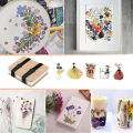 Leaf Pressing Kit DIY Press Flower Machine Tool Nature Wooden Dried Book Drying Preservation DIY Flower Preservation Crafts BOYUAN. 