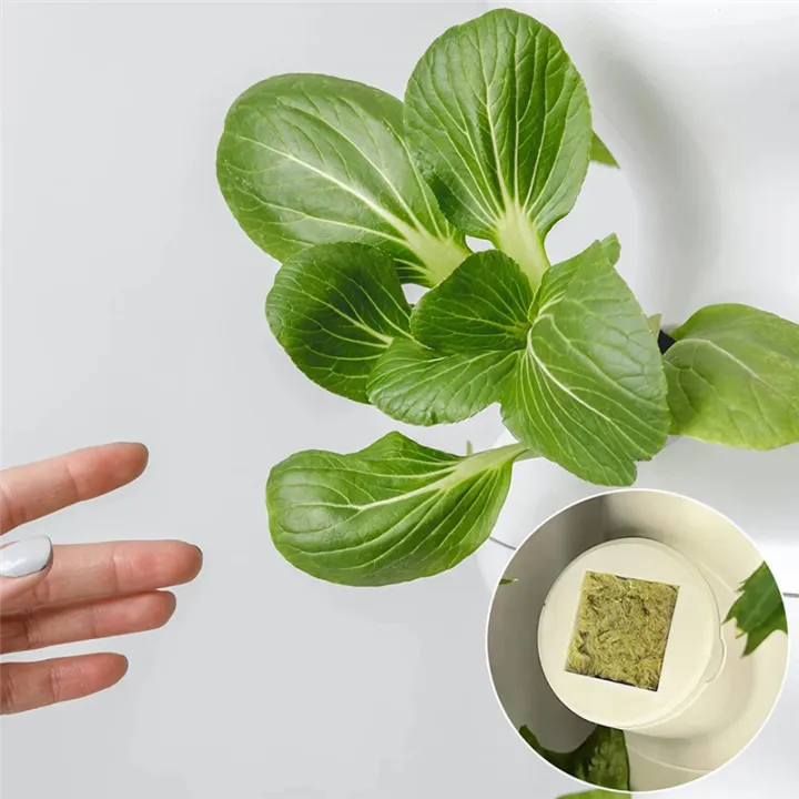 50Pcs%20Stoool%20Hydroponic%20Grow%20Media%20Starter%20Cubes%20Plant%20Cubes%20Soilless%20Substrate%20ed%20Rock%20Wool%20Plug%20ling%20Block%20-%20Image%207