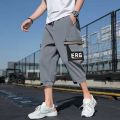 Cropped Pants Men's Summer ThininsTrendy Teen All-Matching and Handsome Workwear Shorts Versatile Casual Breeches. 