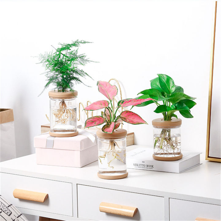 Pots%20for%20Pot%20Imitation%20Glass%20Vase%20Planting%20Small%20Potted%20Green%20Plant%20Flower%20Vases%20ZHIXING%20-%20Image%202