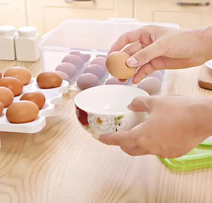 High%20Quality%20ABS%20Plastic%20Egg%20Storage%20Box%20with%20Lid%20and%20Handle%20-%20Image%203