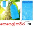 Banana protection plastic bag (50 BAGS) bunch cover 20 micron blue. 