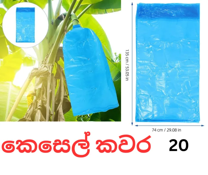 Banana%20protection%20plastic%20bag%20(50%20BAGS)%20bunch%20cover%2020%20micron%20blue%20-%20Image%209