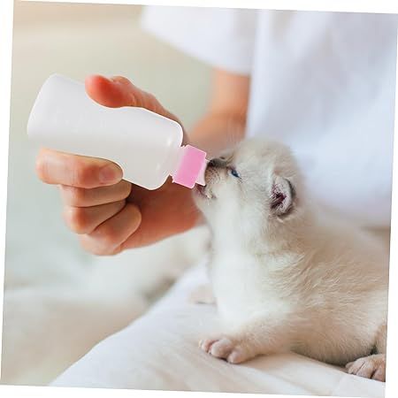 Pet Cat Dog Milk Bottle Pet Puppy Kitten Baby Animal Feeding Bottle set
