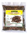 3V PRODUCTS Cloves - Pack of 2x25g - Lavang | Laung | Lavangam | Krambu (Whole)(FROM IND)JEZ. 