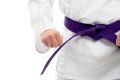 Double Wrap Solid Karate Belt - Purple. 