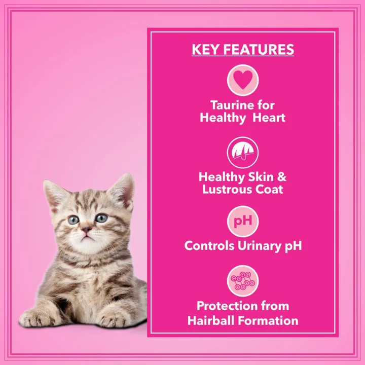 Let's%20Bite%20Active%20Kitten%20Dry%20Cat%20Food,%20Ocean%20Fish,%20400gm%20(2%20PACKS)%20(800G)%20-%20Image%202