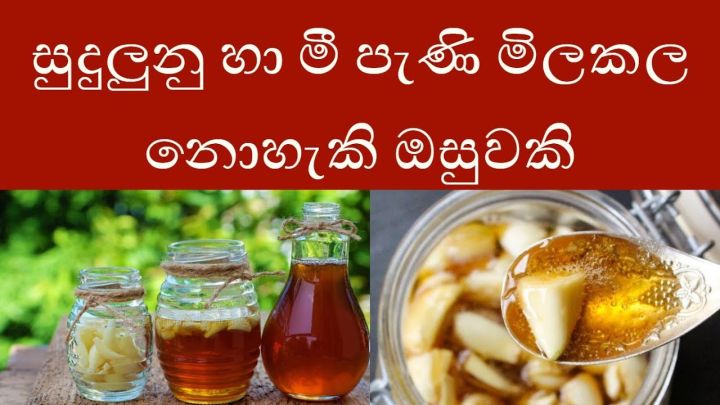 Garlic%20with%20Bee%20Honey%20for%20Weight%20Loss%20and%20Immunity%20Boosting%20250g%20100%25%20Natural%20Honey%20&%20Garlic%20-%20Image%207