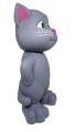 Intelligent Talking TOM CAT. 