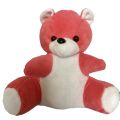Teddy Bear 8.5 Inch - High Quality cute soft big Teddy Bear -soft Cute Teds Teddies - Modern cute designed soft Teddy Bear .Pink, rose, light blue ,lovely  teddy bear. 