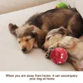 Pets Toys Chew Dispenser Leakage Food Balls Small Medium Large Dog Play Interactive Toy Cat Teething Training Balls 7.5/11cm. 