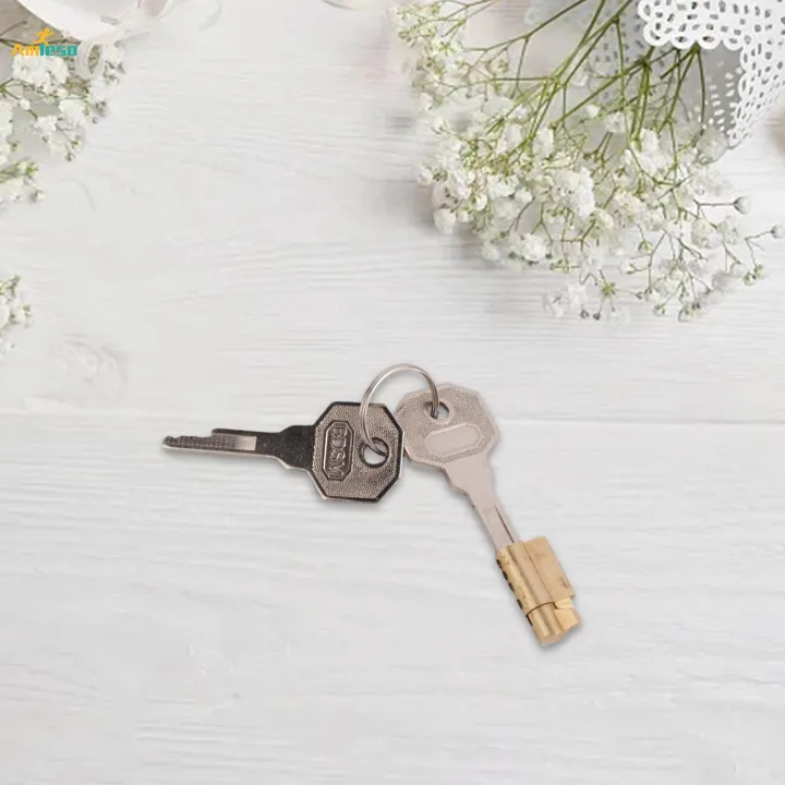 Cylinder%20Lockwith%202%20Keys%20Lockable%20Replacement%20Strong%20Refrigerator%20Lock%20-%20Image%204