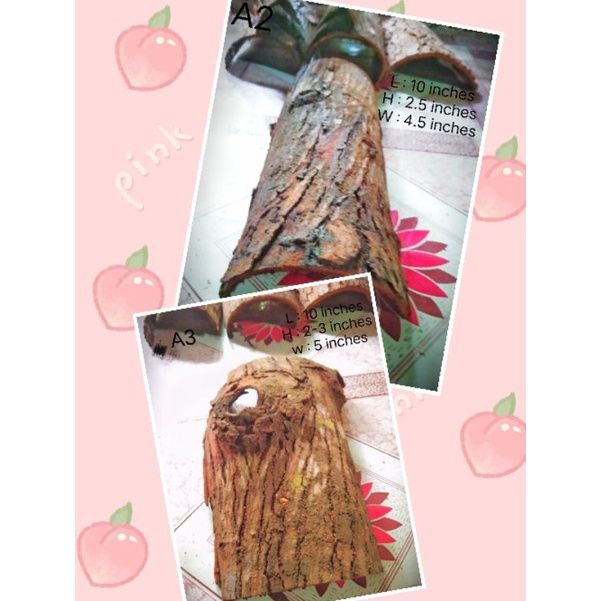 %E2%96%A8%E2%98%83Tarantula%20hide,%20Reptile%20etc..Balat%20ng%20Mahogany%20,dry%20Mahogany%20Bark%20-%20Image%208