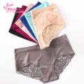 Muses Mall Women Briefs See-through Stretchy Pure Color Women Briefs. 