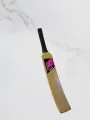 Softball Cricket Bat Size 5. 