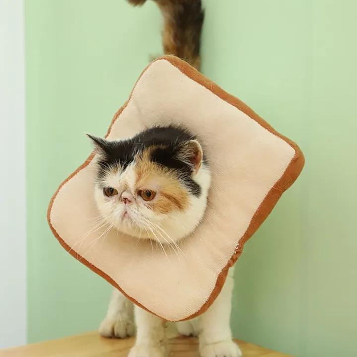 Anti-Licking%20E%20Collars%20Neck%20Donut%20Collar%20Cone%20Cat%20Cone%20Recovery%20After%20Surgery%20-%20Image%205