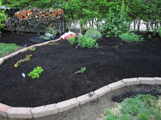 Wood%20Charcoal%20Orchids%20Organic%20Fertilizer%20Agriculture%20contains%20potassium%20carbonate%20Home%20Garden%20CS%20Agro%20-%20Image%204