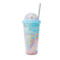 Double Layers Rainbow Plastic Water Bottle With Straw Creative 550ml Mug TAOPA. 