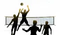 VolleyBall Net - Standard Size 95 × 10 CM, JOEREX Original Product Imported From Australia. 