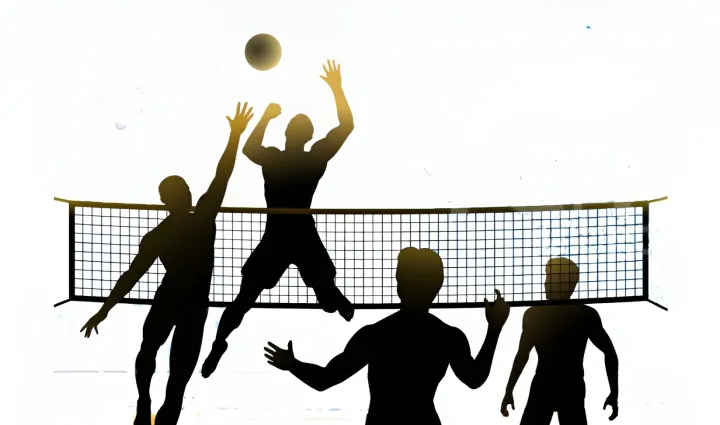 VolleyBall Net - Standard Size 95 × 10 CM, JOEREX Original Product Imported From Australia