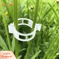 SuperRide Climbing Plant Clips 100/200/300 Pcs Plant Clips Reusable Tomato Trellis Clips for Climbing Plants Indoor Outdoor Use Plastic Plant Support Clips for Vines Cucumbers Plastic Garden Clips. 