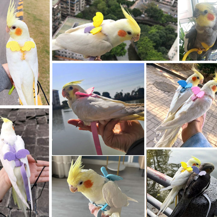 BETOP%20Adjustable%20Pet%20Parrot%20Harness%20Leash%20Anti-Bite%20Outdoor%20Flying%20Training%20Rope%20for%20Small%20Medium%20Parrot%20Macaw%20Cockatiel%20Budgie%20Strap%20Bird%20Supplies%20-%20Image%207