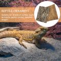 ♧┅Oak Natural Cork Bark- Reptile Terrarium Climb Platform Hiding Hut Landscape Habitat Décor Hideout. 