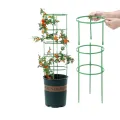 3 Set Durable Green Plant Support Pile Half Round Removable Climbing Vines Stake Easy to Use Flower Ring Support Rack. 