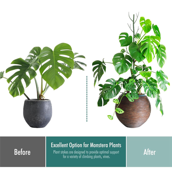 Monstera%20Plant%20Support%20Clips%20Ties%20Set%20Plant%20Support%20Stakes%20Moss%20Pole%20for%20Indoor%20Plants%20Green%20-%20Image%204