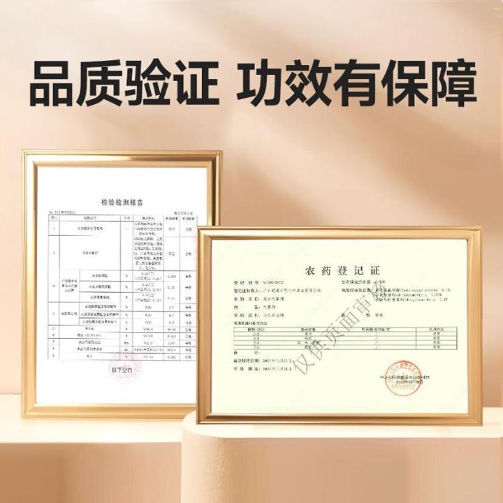 Chaowei%20insecticide%20spray%20household%20mosquito%20control%20aerosol%20fly%20ant%20flea%20bed%20bug%20cockroach%20cross-border%20-%20Image%202