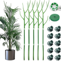 Monstera Plant Support Clips Ties Set Plant Support Stakes Moss Pole for Indoor Plants Green. 