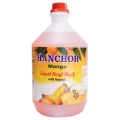 Mango Hand Wash 4L. 
