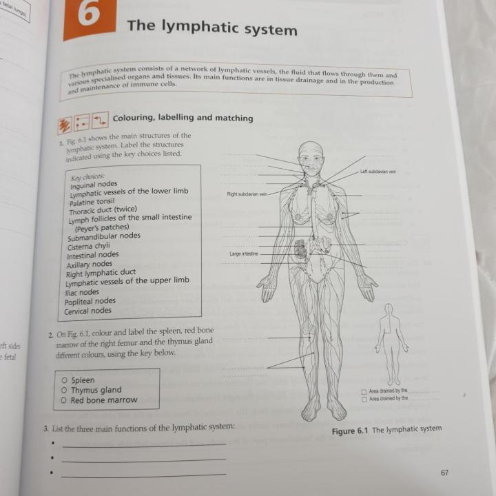 Ross%20&%20Wilson%20Anatomy%20and%20Physiology%20Colouring%20and%20Workbook%EF%BC%8CAnne%20Waugh%20MSc%20CertEd%20SRN%20RNT%20FHEA%20and%20Allison%20Grant%20BSc%20PhD%20RGN%20-%20Image%203