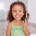 Miswak Siwak Natural Toothbrush Traditional Arak Teeth Whitener Soft Travel Manual Toothbrus Natural Miswak Teeth Sticks. 