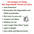 Wood Pellet Cat Litter Kitto Kitty - 10L APPLE. 