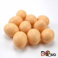 Plastic 10 pcs eggs for kids toys. 
