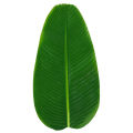 【In Stock】Artificial Banana Leaves Place Mat Banana Palm Leaf Home Waterproof Beach Theme Decorations Placemats Green Party Supplies Oil Proof Decorative Thick Tablecloth. 