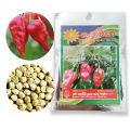 Snake Chilli Local Seeds, Nai Kochchi Beeja, 30 Seeds. 