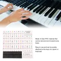 Piano Beginner Sticker Colorful Transparent Removable Large Letter Reusable Piano Keyboard Sticker for 49/54/61/88 Key Keyboards. 