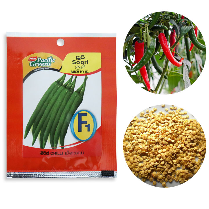 F1%20Hybrid%20Chilli%20Soori%20MICH%20HY%2001%20Seeds%20Miris%20Beeja%20%E0%B6%B8%E0%B7%92%E0%B6%BB%E0%B7%92%E0%B7%83%E0%B7%8A%20%E0%B6%B6%E0%B7%93%E0%B6%A2%200.1g%20Home%20Gardening%20Agriculture%20-%20Image%203